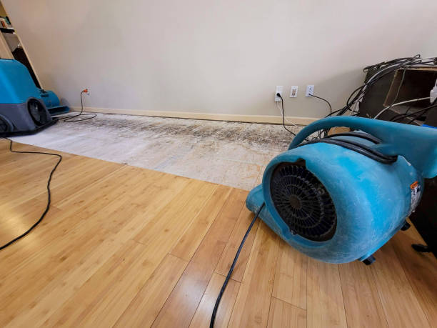 Professional Basement Flood Cleanup technician working in Minneapolis, KS